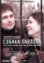 Собака Павлова Формат: DVD (PAL) (Keep case) Дистрибьютор: СОЮЗ Видео Региональный код: 5 Звуковые дорожки: Русский Dolby Surround 5 1 Формат изображения: Widescreen 1 77:1 Лицензионные товары Характеристики видеоносителей инфо 4569l.