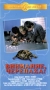 Внимание, черепаха! Серия: Отечественное кино XX века инфо 12197b.