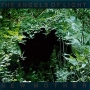 The Angels Of Light New Mother Формат: Audio CD (Jewel Case) Дистрибьютор: Концерн "Группа Союз" Россия Лицензионные товары Характеристики аудионосителей 2009 г Альбом: Российское издание инфо 2713d.