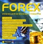 FOREX Учебник для начинающих трейдеров Компьютерная программа CD-ROM, 2007 г Издатель: Новый Диск; Разработчики: VUEK, Akmos Trade Ltd пластиковый Jewel case Что делать, если программа не запускается? инфо 5253a.